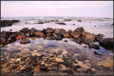 DSC_5866_1.jpg
