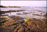 DSC_5871_1.jpg