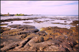 DSC_5872_1.jpg
