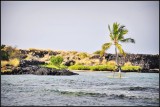 DSC_5906_1.jpg