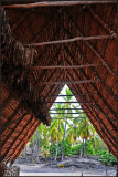 DSC_6100_1.jpg