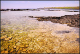 DSC_6135_1.jpg