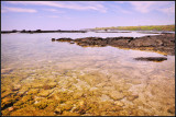 DSC_6143_1.jpg