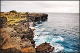 DSC_6335_1.jpg