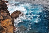 DSC_6341_1.jpg