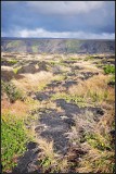 DSC_6790_1.jpg