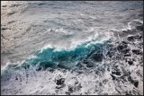 DSC_6815_1.jpg