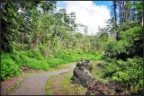 DSC_6911_1.jpg