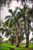 DSC_7028_1.jpg