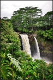 DSC_7046_1.jpg
