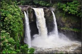 DSC_7051_1.jpg