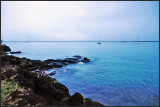 DSC_7476_1.jpg