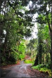 DSC_7481_1.jpg