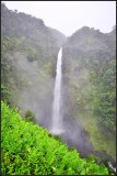 DSC_7599_1.jpg