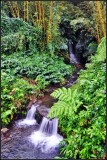 DSC_7636_1.jpg