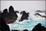 DSC_7730_1.jpg