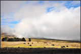 DSC_7094_1.jpg