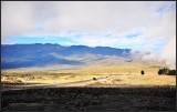 DSC_7099_1.jpg