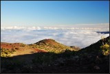 DSC_7179_1.jpg