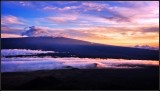 DSC_7310_1.jpg