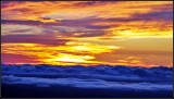 DSC_7402_1.jpg