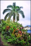 DSC_7827_1.jpg