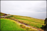 DSC_7904_1.jpg