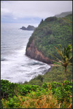 DSC_7930_1.jpg