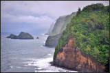 DSC_7957_1.jpg