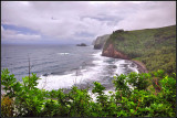DSC_7961_1.jpg