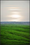DSC_8018_1.jpg