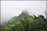 DSC_9131_1.jpg
