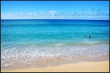 DSC_0138_1.jpg