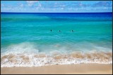 DSC_0162_1.jpg