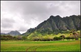 DSC_9959_1.jpg