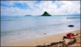 DSC_9996_1.jpg