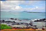 DSC_9223_1.jpg