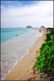 DSC_9254_1.jpg