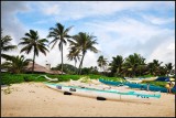 DSC_9286_1.jpg