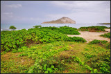 DSC_9346_1.jpg