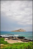 DSC_9353_1.jpg