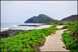 DSC_9357_1.jpg