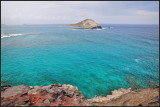DSC_9384_1.jpg