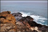 DSC_9394_1.jpg