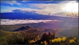 IMG_20180124_173955_HDR_1.jpg