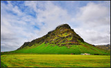 DSC_2117_1.jpg