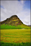 DSC_2125_1.jpg