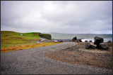 DSC_2201_1.jpg
