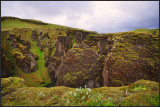 DSC_2375_1.jpg