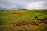 DSC_2395_1.jpg